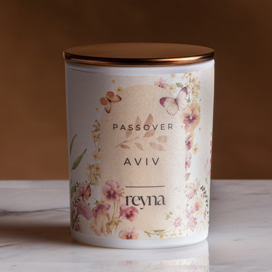 Aviv - Passover Collection